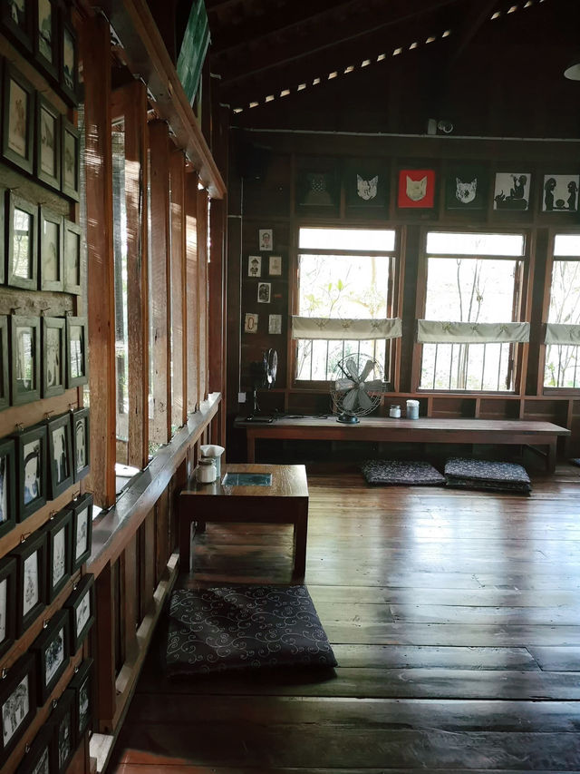 คาเฟ่บรรยากาศร่มรื่น Allaboutcoffee Pai-เชียงใหม่