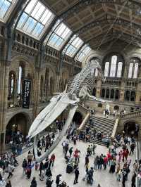 🦖 Natural History Museum, London UK 🦕