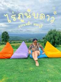 ไร่ภูนับดาว มวกเหล็ก – สระบุรี 