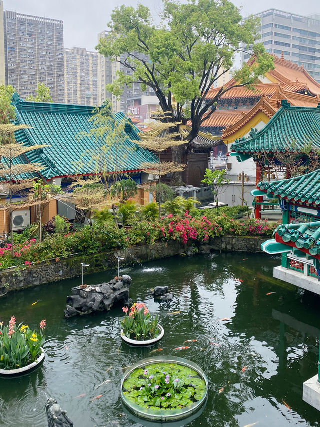 香港｜拜完了黃大仙不妨走走從心苑🎋