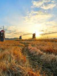 Incheon: Korea’s Coastal Gateway in Full Bloom