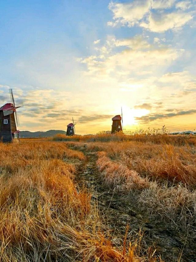 Incheon: Korea’s Coastal Gateway in Full Bloom