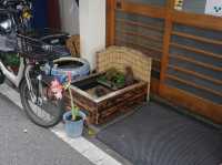 【東京 押上】スカイツリーのふもとの下町感あふれるとんかつ屋さん
