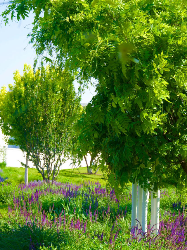 🌿 Beijing’s Romantic Mini Park | Fengtai’s Ruzhuo Garden 🌸