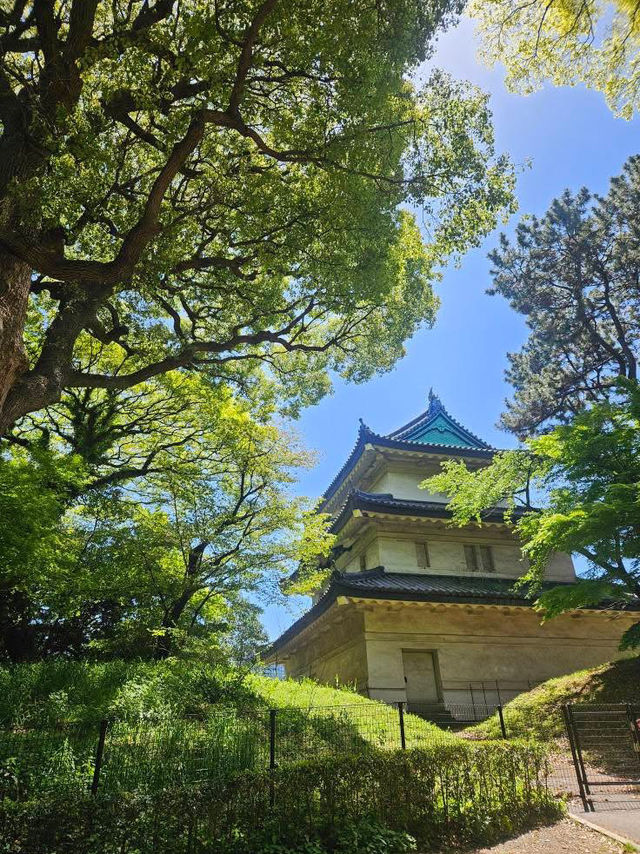 “Whispers of the Forest: Sakura Spirits of Meiji”