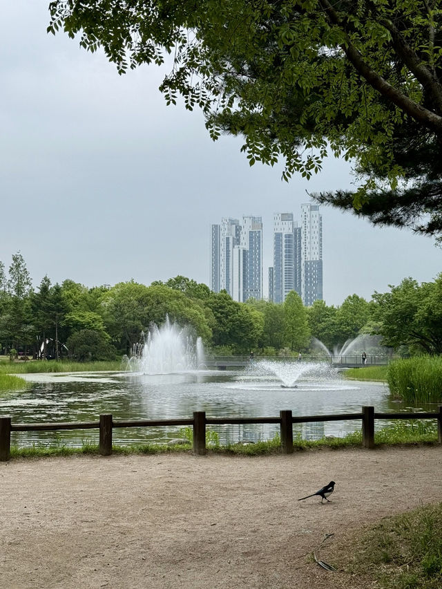 도심 속 힐링, 서울숲 산책 후기
