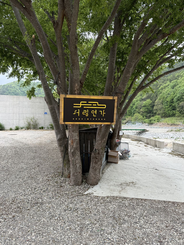 자연과 함께 힐링여행 어때요 ?! 🍀
