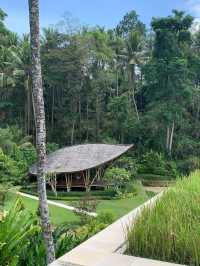 🌾 Luxury in the Lush Heart of Ubud – Four Seasons Resort Bali at Sayan