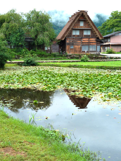 夏の白川郷で一泊 | Trip.com 白川村