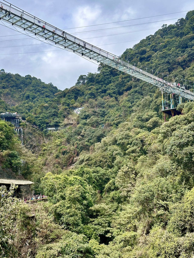 清遠古龍峽遊玩評測 ✅ | 刺激與美景並存的避暑勝地!  清遠古龍峽遊玩評測 ✅ | 刺激與美景並存的避暑勝地!