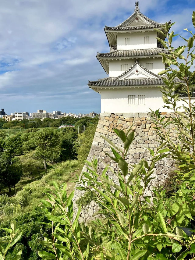 A Slow Day in Akashi – Castles, Calm Parks & Peach Shaved Ice
