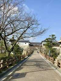 A Slow Day in Imabari – Castles, Seaside Snacks & Setouchi Breeze