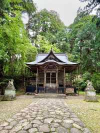 A Slow Day in Fukui – Dinosaurs, Temples & Sweet Treats
