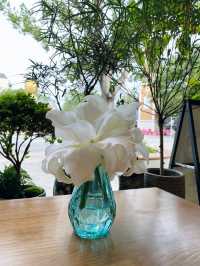 深圳｜荷蘭花卉小鎮🌸💐🌼