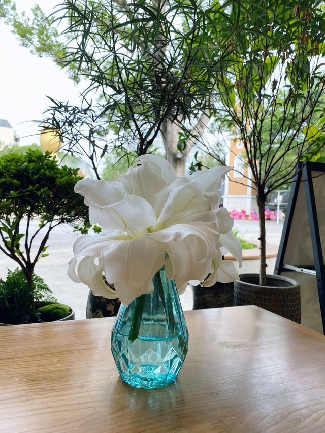 深圳｜荷蘭花卉小鎮🌸💐🌼