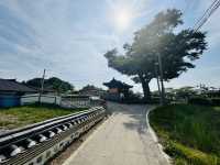 Hidden Gem Near Camp Humphreys