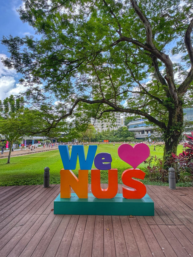 Brains and Beauty: A Scenic Stroll Through NUS