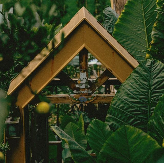 บ้านไม้ กลางสวนส้ม บนดอย ที่คิดถึง~ 