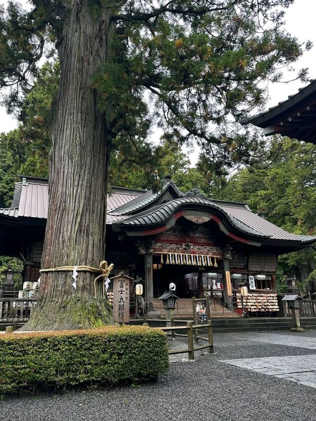 Spring Vibes & Shrine Feels