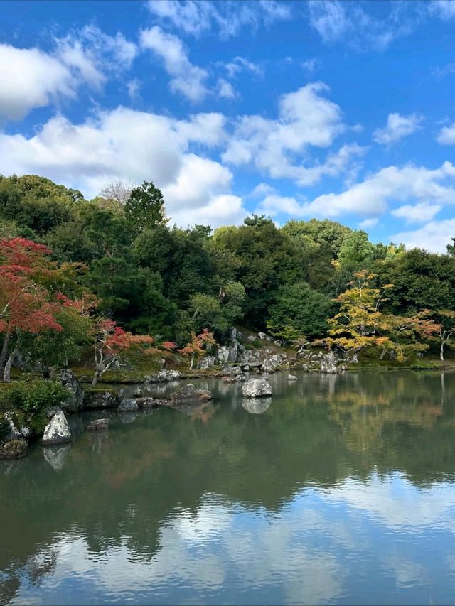 Spring Zen & Garden Goals