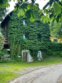 🌿 Altarmweg Wallsee: オーストリアの風光明媚なリバーサイドハイキング