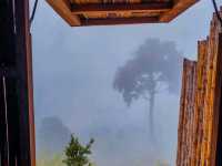 - ภาคใต้ที่ฟีลเหมือนได้วาร์ปไปเหนือ! 🏕️🌿🌳