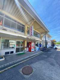【伊豆下田】遊覧船にも乗れちゃう🚢道の駅で海鮮三昧