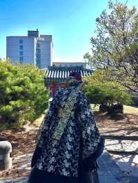 April Scenery in Jeju Island