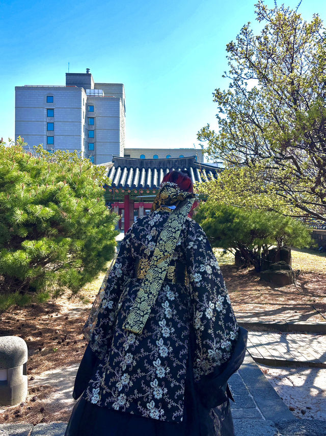 April Scenery in Jeju Island