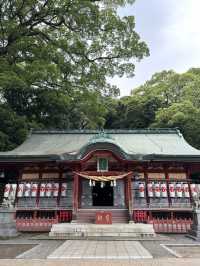【大分旅行】別府では有名なパワースポット⛩見どころが多い神社⛩