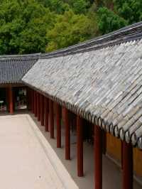 경주 당일여행 코스 추천!