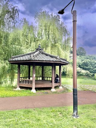 Enjoy a charming summer garden in Suncheon - Suncheon Jorye Lake Park.