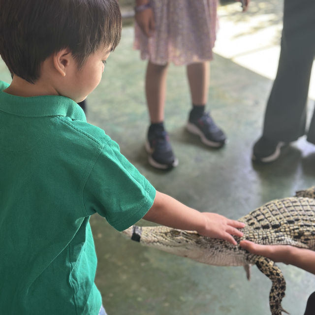Lets Watch Croc’s Bite! 🐊