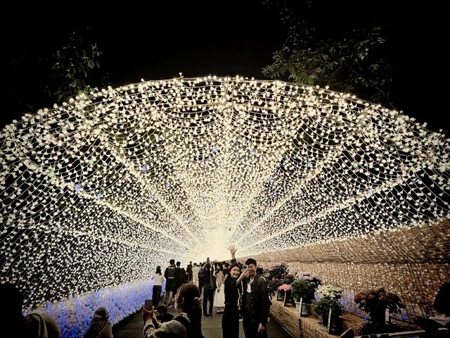 Nabana no Sato: มหัศจรรย์แห่งแสงสีและความงาม