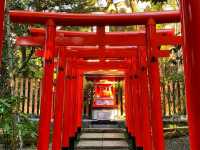 Kinomiya Shrine – A Sacred Escape in Atami