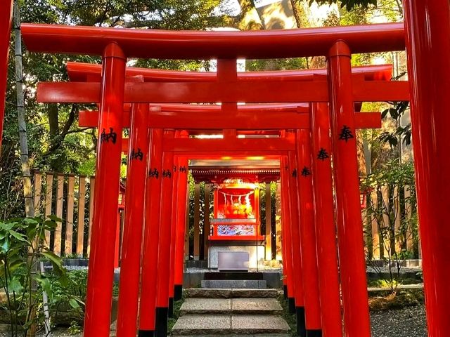 Kinomiya Shrine – A Sacred Escape in Atami