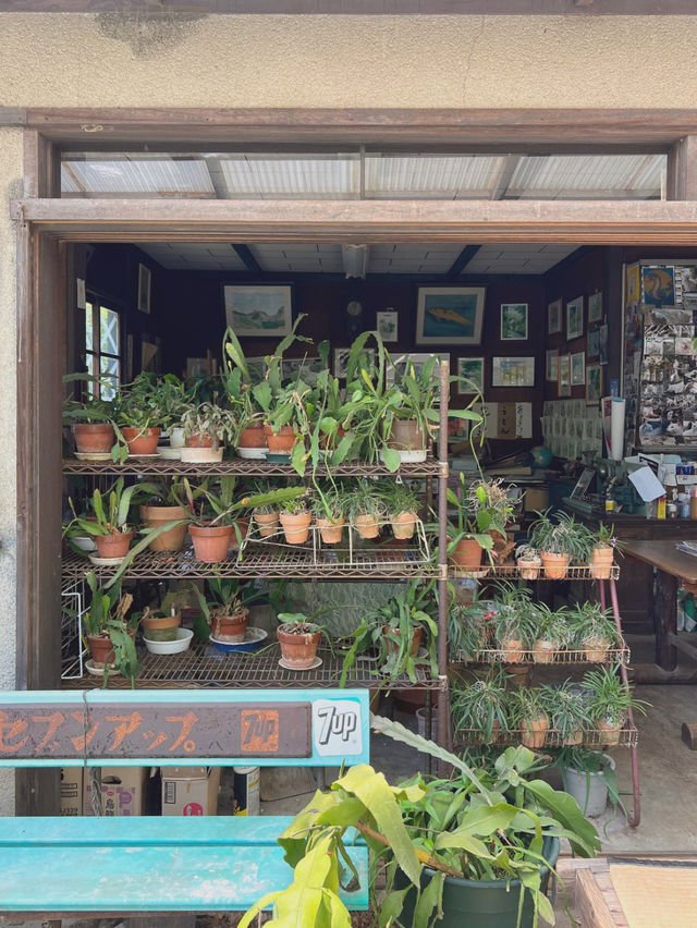 【兵庫/西宮】ジブリなお茶屋でタイムスリップ🤭🍙✨