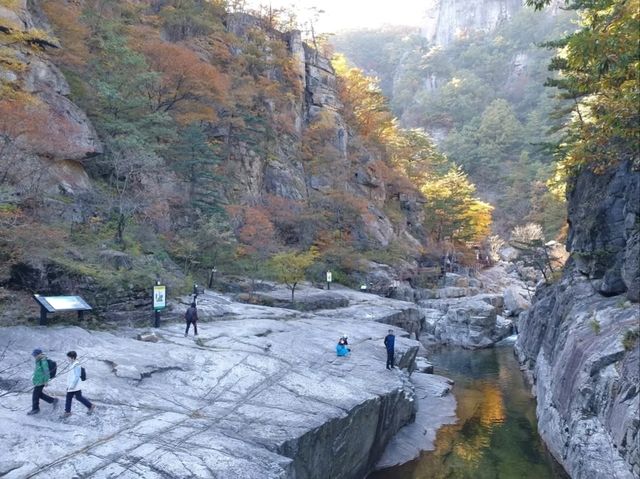 Nature Escape