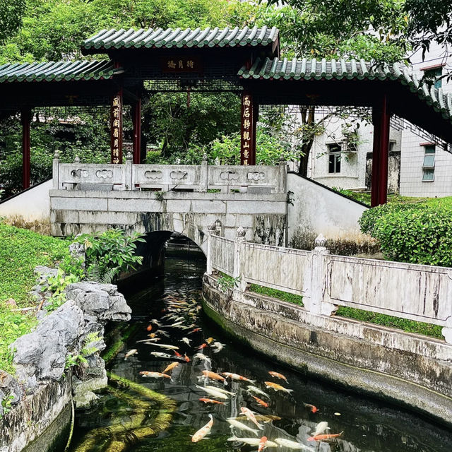 🌿 Hidden Jiangnan Garden in Shenzhen CBD – Totally Free! 🏯✨