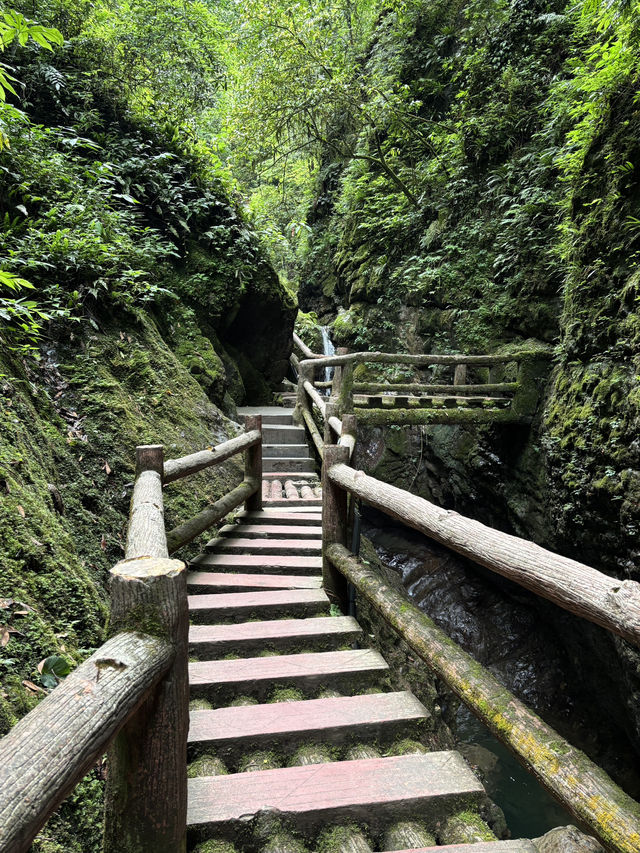 A Quiet Afternoon in Qingcheng’s Back Mountain