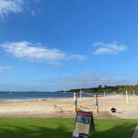 Geelong | A Spontaneous Seaside Day Trip from Melbourne 🌊🚉