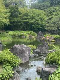 Kyoto - lovely ZEN place 😍😍