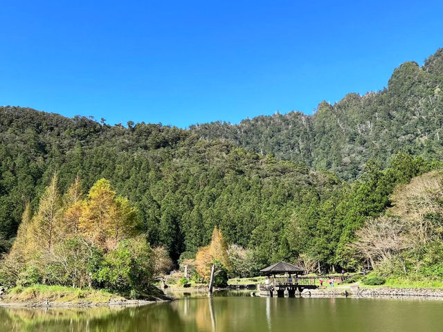 宜蘭｜明池森林遊樂區