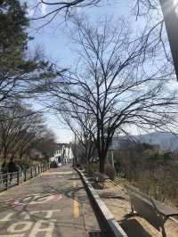 Spring in Ihwa Mural Village