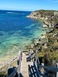 🏝️ Rottnest Island – Perth’s Tropical Paradise Just a Ferry Away! 🐾🌊☀️