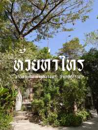 บางพระเรือ ณ ห้วยท่าไทร🍃🌳