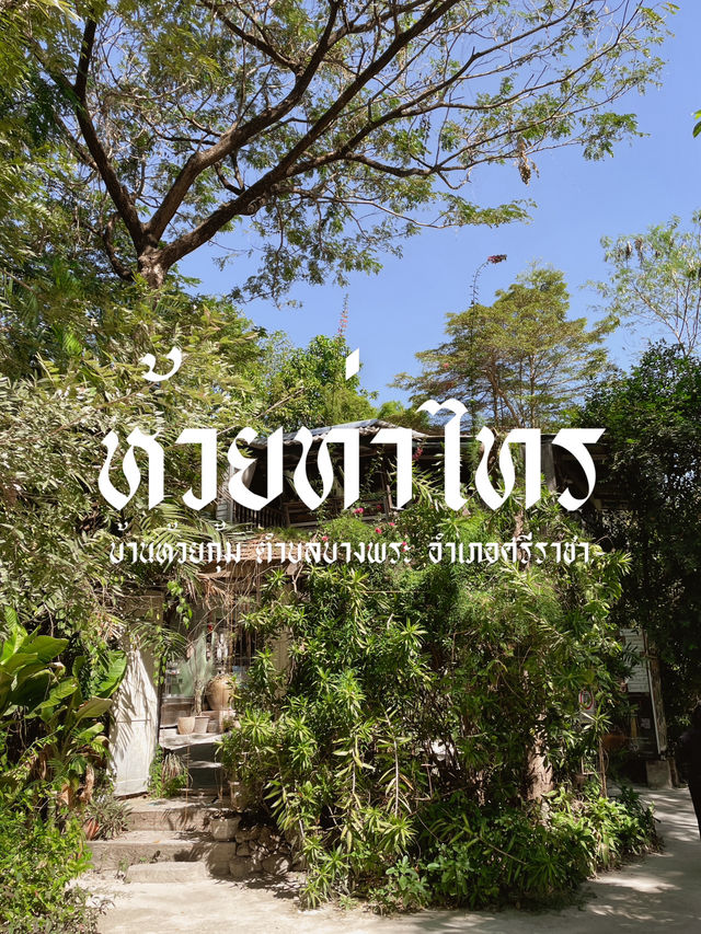 บางพระเรือ ณ ห้วยท่าไทร🍃🌳