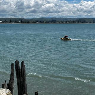Napier