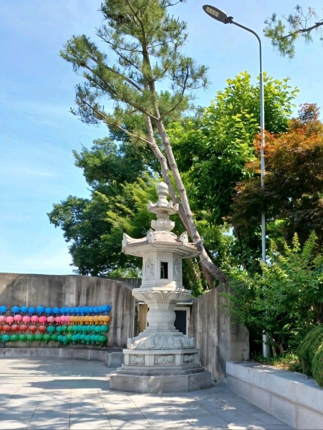 절벽 위 풍경과 함께하는 그림 같은 나들이