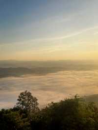 หมอกหนาเท่าหัวใจ… ดอยเสมอดาว น่าน ✨🌫️